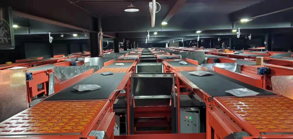 Belt Conveyors